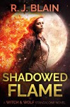 Shadowed Flame - RJ Blain