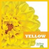 Yellow - Heather Adamson