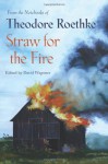 Straw for the Fire: From the Notebooks of Theodore Roethke, 1943-63 - Theodore Roethke