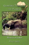 Glimpses through the Forest: Memories of Gabon - Jason Gray