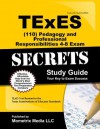 TExES (110) Pedagogy and Professional Responsibilities 4-8 Exam Secrets Study Guide: TExES Test Review for the Texas Examinations of Educator Standards - TExES Exam Secrets Test Prep Team