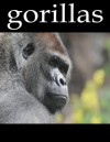 Gorilla Pictures and Fun Facts - Jack Ham