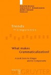 What Makes Grammaticalization?: A Look From Its Fringes And Its Components (Trends In Linguistics. Studies And Monographs) - Bjorn Wiemer, Walter Bisang, W. Bisang