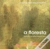 A Floresta - Sophia de Mello Breyner Andresen