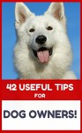 42 Useful Tips For Dog Owners - The Ultimate Dog Guide - Jim Lee Crocket