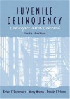 Juvenile Delinquency: Concepts and Control - Robert C. Trojanowicz, Merry Morash, Pamela J. Schram