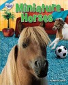 Miniature Horses - Natalie Lunis