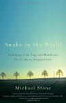 Awake in the World: Teachings from Yoga and Buddhism for Living an Engaged Life - Michael Stone