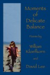 Moments of Delicate Balance - William Kloefkorn