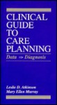 Clinical Guide To Care Planning: Data > Diagnosis - Leslie D. Atkinson, Mary Ellen Murray