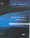 Vitiello's Criminal Procedure Simulations: Bridge to Practice - Michael Vitiello