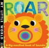 Roar: A Big-Mouthed Book of Sounds! - Jonathan Litton, Fhiona Galloway