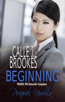 Beginning: A PAVAD Prequel Novella (PAVAD: FBI Romantic Suspense) - Calle J. Brookes