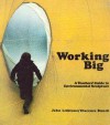 Working Big: A Teachers' Guide to Environmental Sculpture - John Lidstone, Clarence Bunch