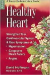 Healthy Heart: Strengthen Your Cardiovascular System - David Hoffmann