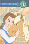 A Pony for a Princess - Andrea Posner-Sanchez, Francesc Mateu