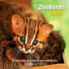 ZooBorns Cats! - Andrew Bleiman, Chris Eastland