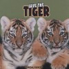 Save the Tiger - Sarah Eason