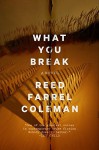 What You Break (A Gus Murphy Novel) - Reed Farrel Coleman