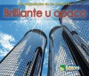 Brillante U Opaco = Shiny or Dull - Charlotte Guillain