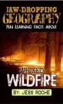 Jaw-Dropping Geography: Fun Learning Facts About Wicked Wildfires: Illustrated Fun Learning For Kids (Volume 1) - Jess Roche