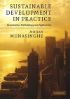 Sustainable Development in Practice: Sustainomics Methodology and Applications - Mohan Munasinghe