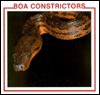 Boa Constrictors - Sherie Bargar, Linda Johnson