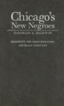 Chicago's New Negroes: Modernity, the Great Migration, & Black Urban Life - Davarian L. Baldwin