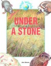 Under a Stone - Jen Green