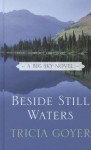 Beside Still Waters - Tricia Goyer