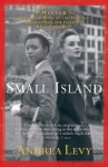 Small Island - Andrea Levy