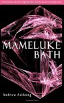 Mameluke Bath - Andrew Asibong