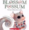 Blossom Possum : The sky is falling down-under - Gina Newton, Kilmeny Niland