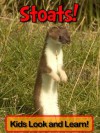 Stoats! Learn About Stoats and Enjoy Colorful Pictures - Look and Learn! (50+ Photos of Stoats) - Becky Wolff