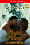 Perfect Picture [The ShadowDance Club 7] (Siren Publishing Classic) - Avery Gale