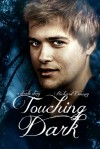 Touching Dark - Richard Denney