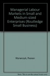 Managerial Labour Markets in Small and Medium-Sized Enterprises - Pooran Wynarczyk, David Storey