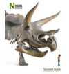 Souvenir Guide to the Amazing World of Nature - Deirdre Janson-Smith, Natural History Museum