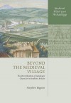 Beyond the Medieval Village: The Diversification of Landscape Character in Southern Britain - Stephen Rippon