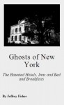 Ghosts of New York: The Haunted Hotels, Inns and Bed and Breakfasts - Jeffrey Fisher