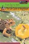 The Life Cycle of Amphibians - Louise Spilsbury, Richard Spilsbury