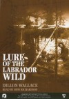 Lure of the Labrador Wild - Dillon Wallace