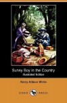 Sunny Boy in the Country (Illustrated Edition) (Dodo Press) - Ramy Allison White