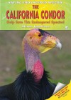 The California Condor: Help Save This Endangered Species! - Alison Imbriaco