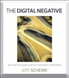 The Digital Negative: Raw Image Processing in Lightroom, Camera Raw, and Photoshop - Jeff Schewe