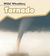 Tornado (Wild Weather) - Catherine Chambers