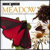 Meadow - Barbara Taylor, DK Publishing