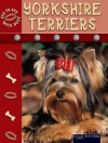 Yorkshire Terriers - Lynn M. Stone