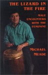 The Lizard in the Fire: Male Encounters with the Feminine - Michael Meade