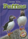 Puffins - Colleen Sexton